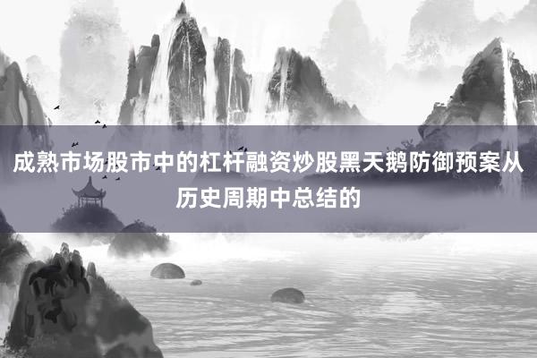 成熟市场股市中的杠杆融资炒股黑天鹅防御预案从历史周期中总结的